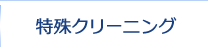 特殊クリーニング